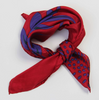 Mini Barbizon Scarf • Red