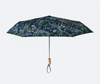 Peacock Umbrella