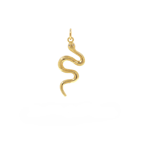 Snake Pendant