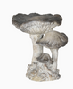 Three Cap Mushroom Specimen